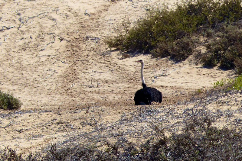 Namibia